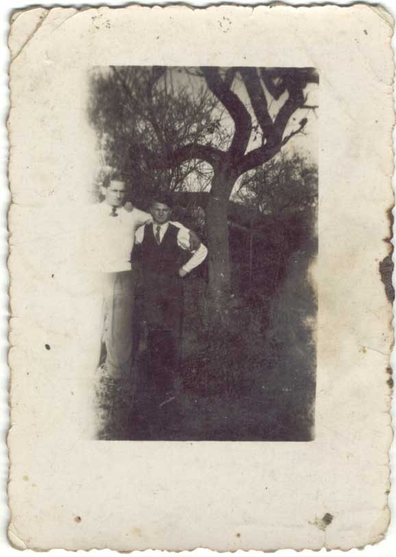 01-003.jpg (33919 bytes)