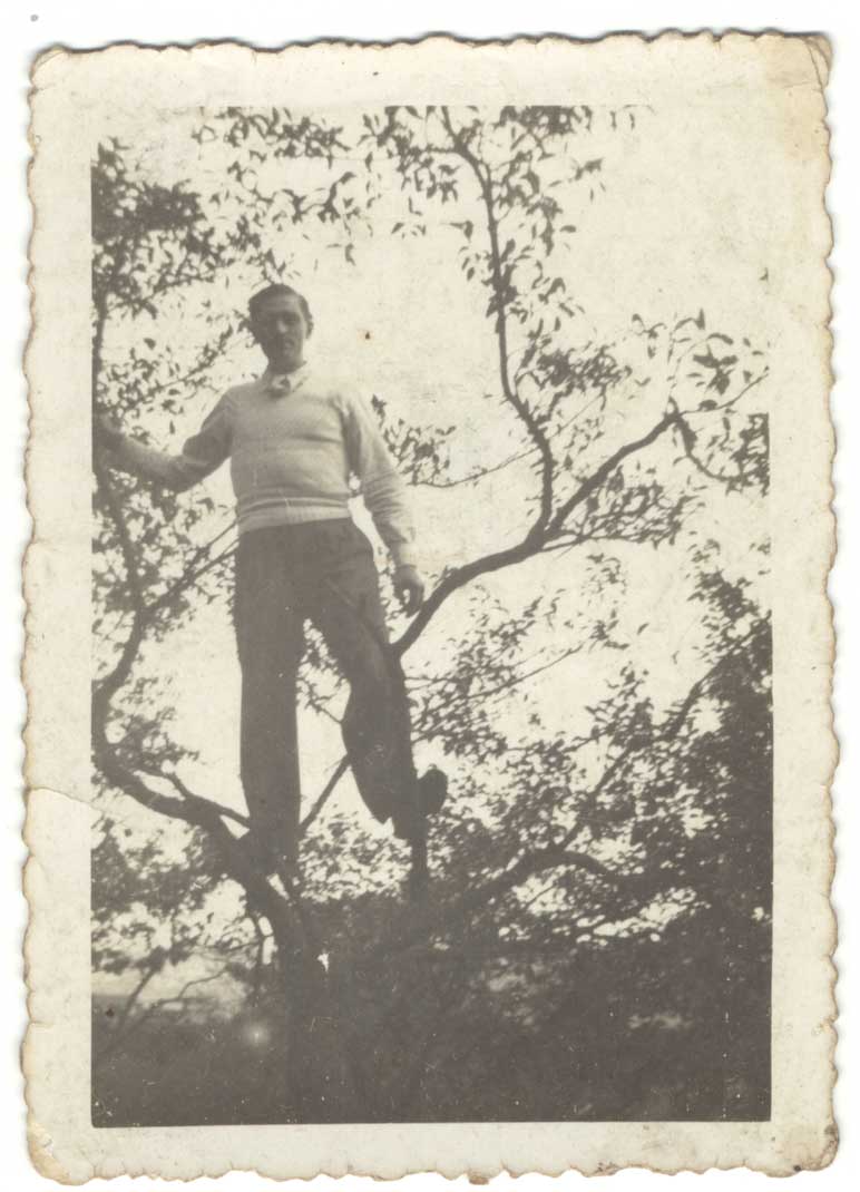 01-016.jpg (73405 bytes)