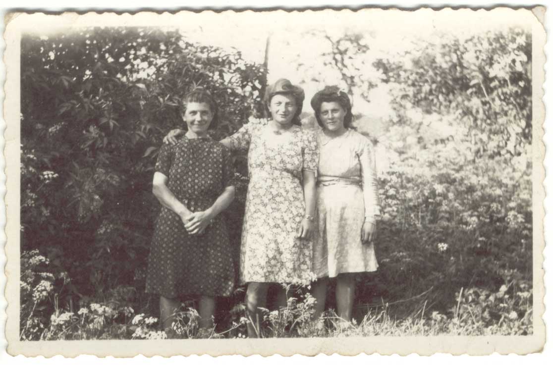 01-019.jpg (83308 bytes)