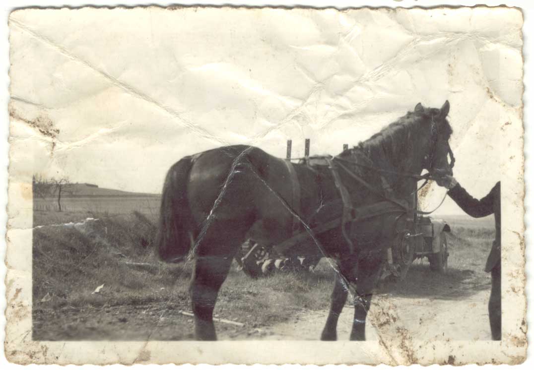 01-026.jpg (57370 bytes)