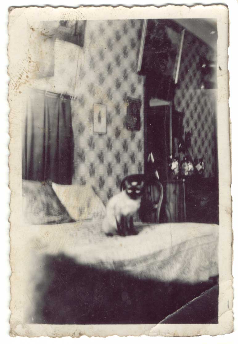 01-027.jpg (62520 bytes)