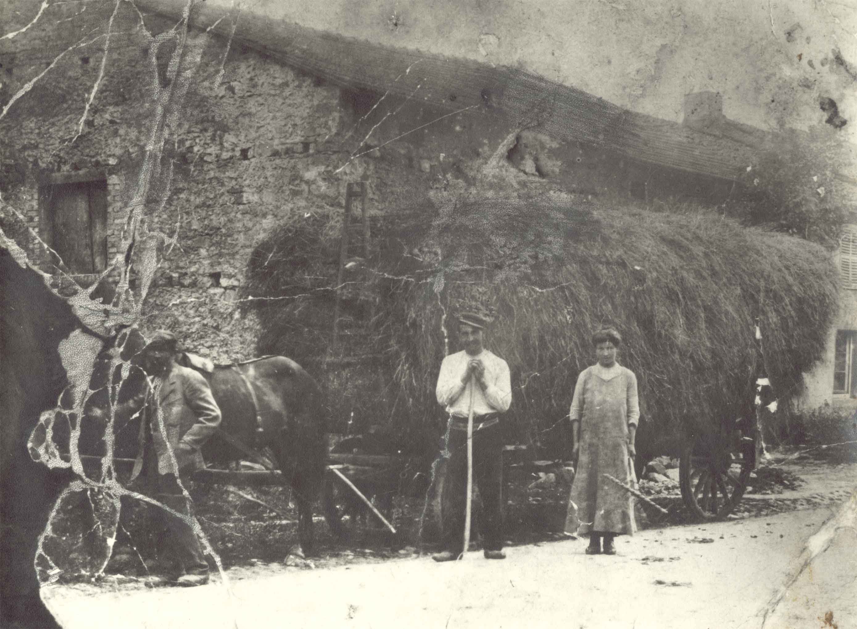 oma-opa-onkel.jpg (31463 bytes)